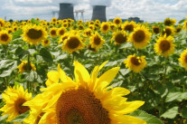 Le nucléaire en grève